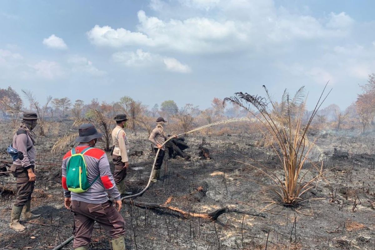 Petugas gabungan padamkan karhutla 37 hektare di 71 titik di Rokan Hilir