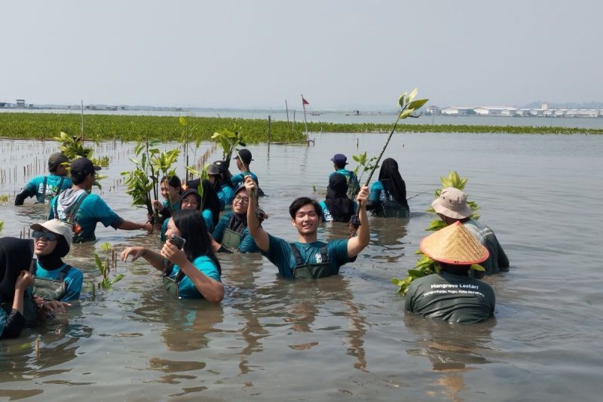 Hari Mangrove, Jerhemy minta anak muda ikut jadi penjaga lingkungan