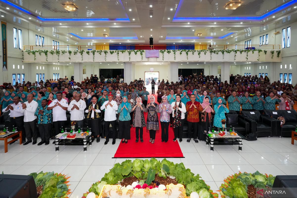 Ketua Dekranas dorong peningkatan UMKM Kriya di Papua Pegunungan