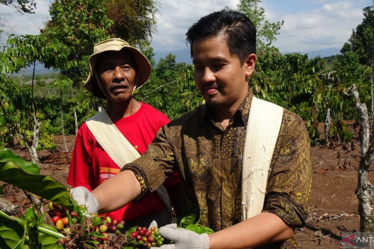 Pelatihan pascapanen 1.000 petani siap wujudkan eksistensi kopi Lahat