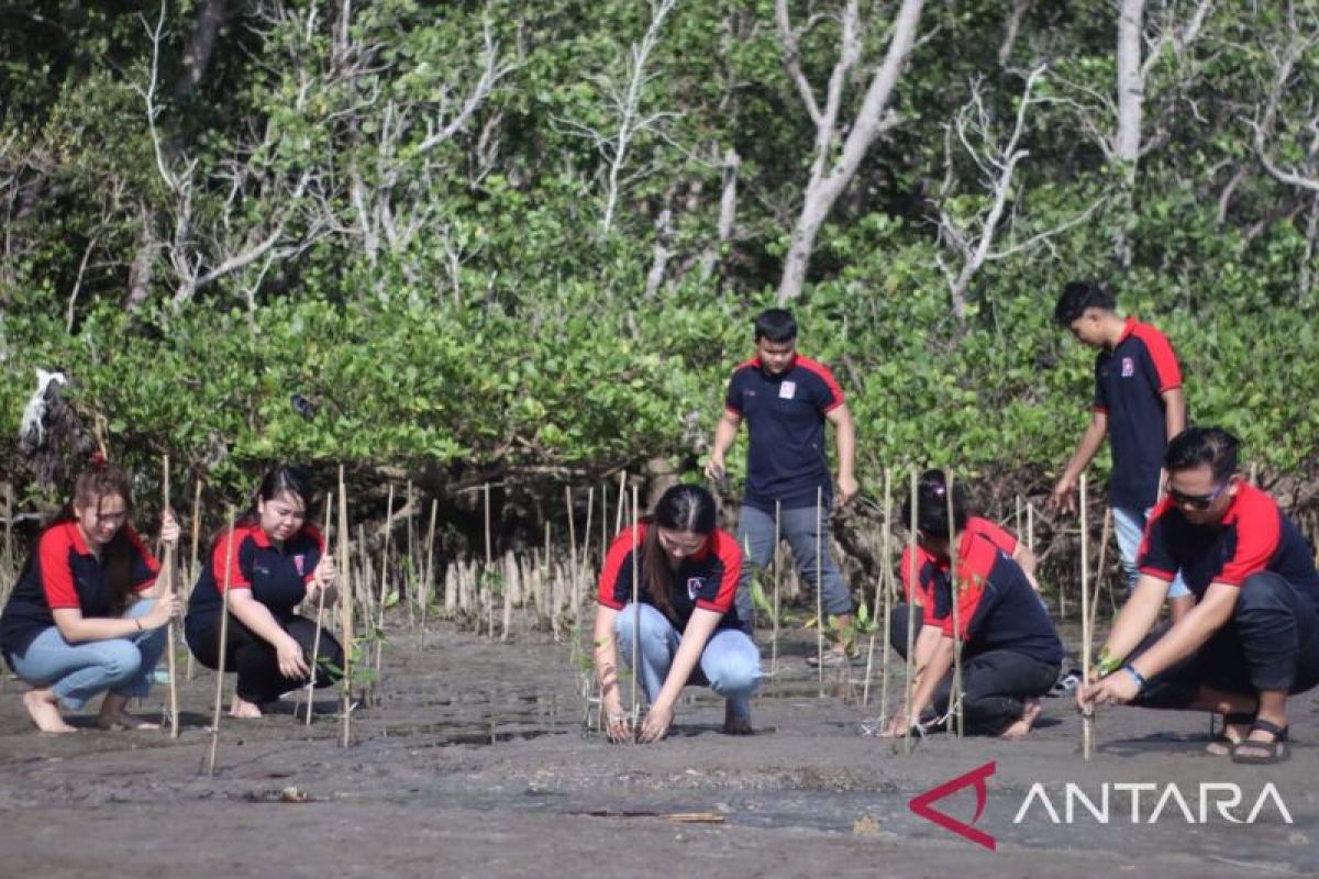 Alfamidi Tanam 2.000 Pohon Mangrove di Pesisir Pantai Manado