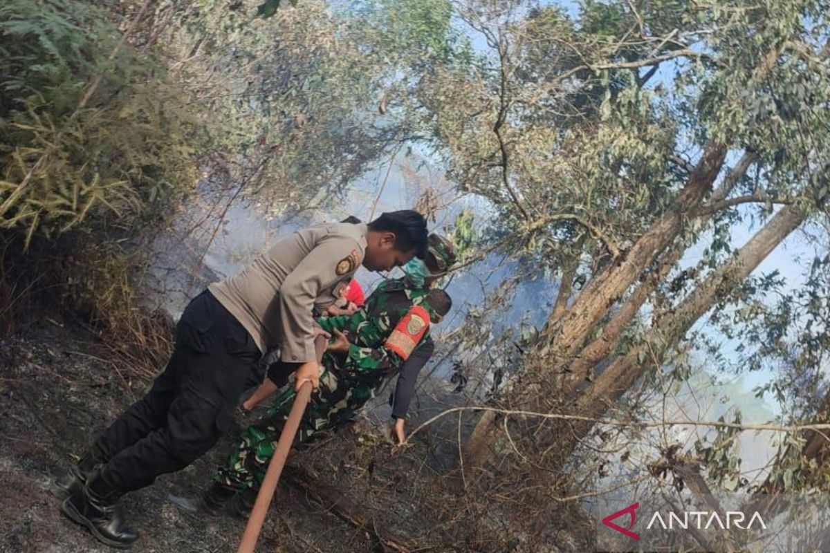 Polisi: Kebakaran lahan gambut di Mukomuko sengaja dibakar