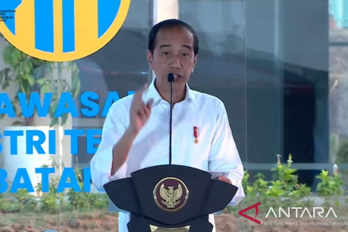 Presiden Jokowi minta Menko Marinves-BKPM aktif pasarkan industri Batang