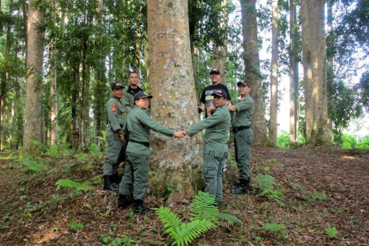 Gubernur Bengkulu nyatakan keberadaan harimau indikator hutan sehat