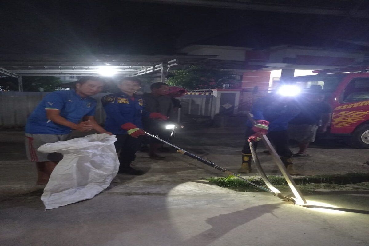 Damkarmat Lampung Selatan evakuasi ular kobra yang meresahkan warga