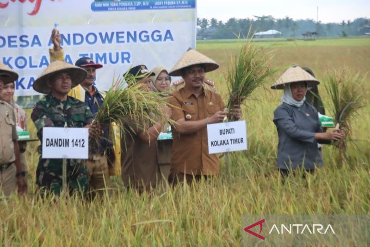 Bupati Koltim luncurkan program Listrik Masuk Sawah