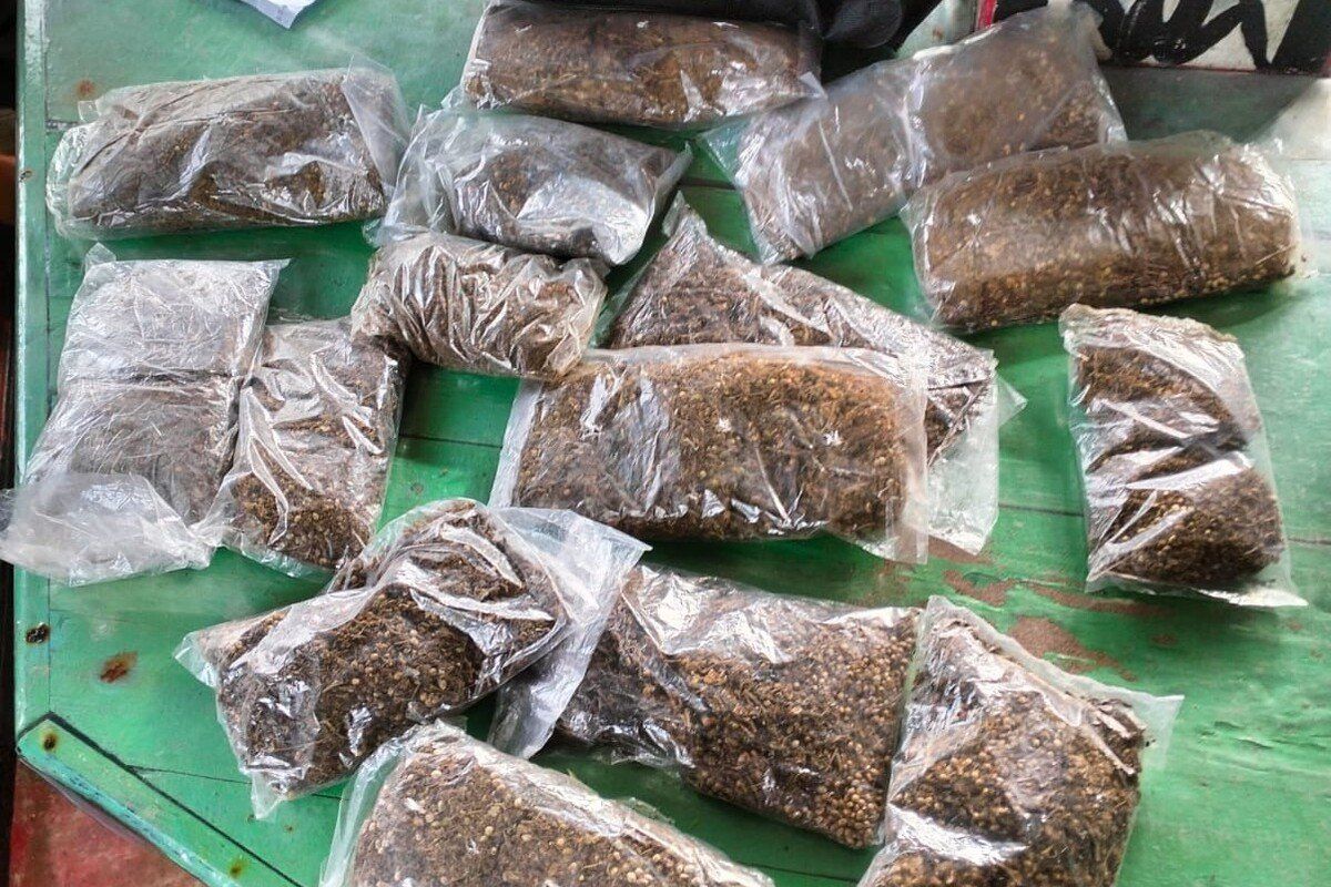 Personel gabungan gagalkan selundupan ganja siap edar di Perbatasan Skouw