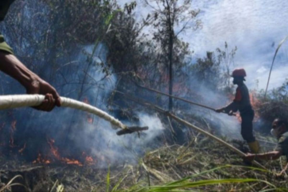 BMKG: Terpantau 67 titik panas di Sumatera Utara.