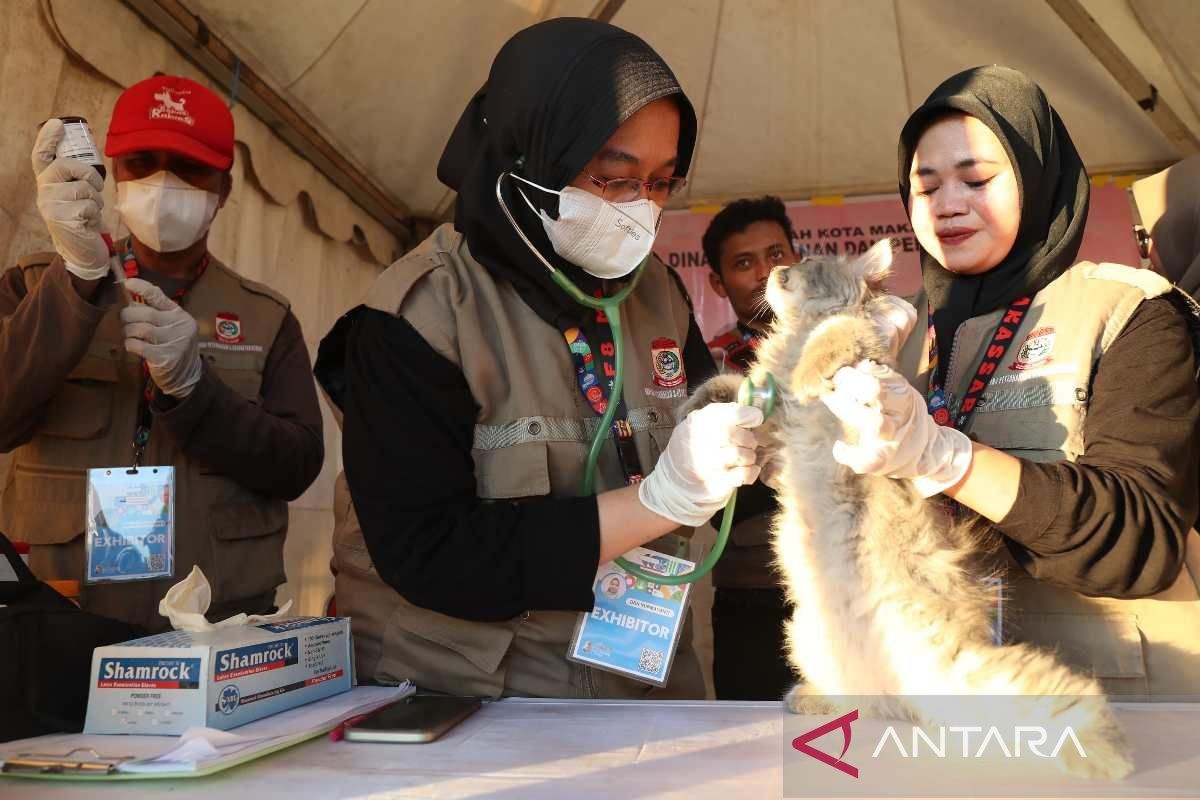 DP2 Makassar menyiapkan vaksinasi rabies untuk hewan peliharaan di F8