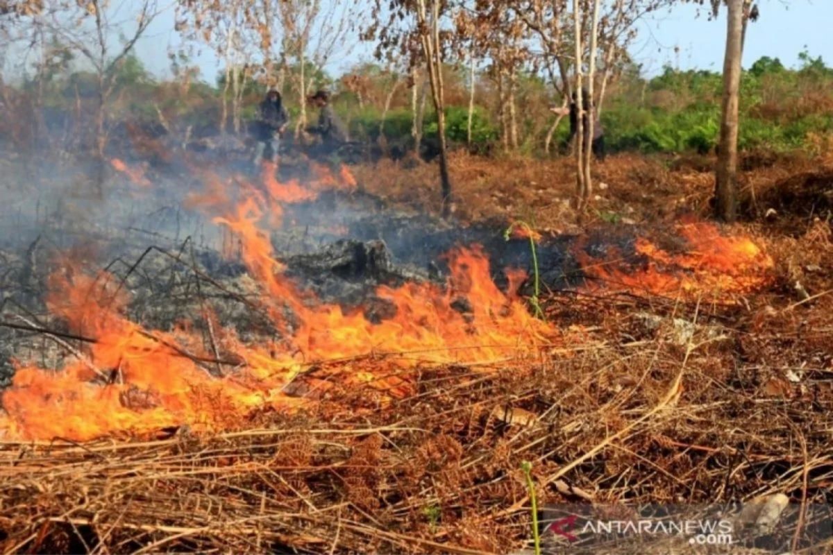 BMKG: Waspadai suhu panas 34 derajat Celcius di Palembang dan Banyuasin