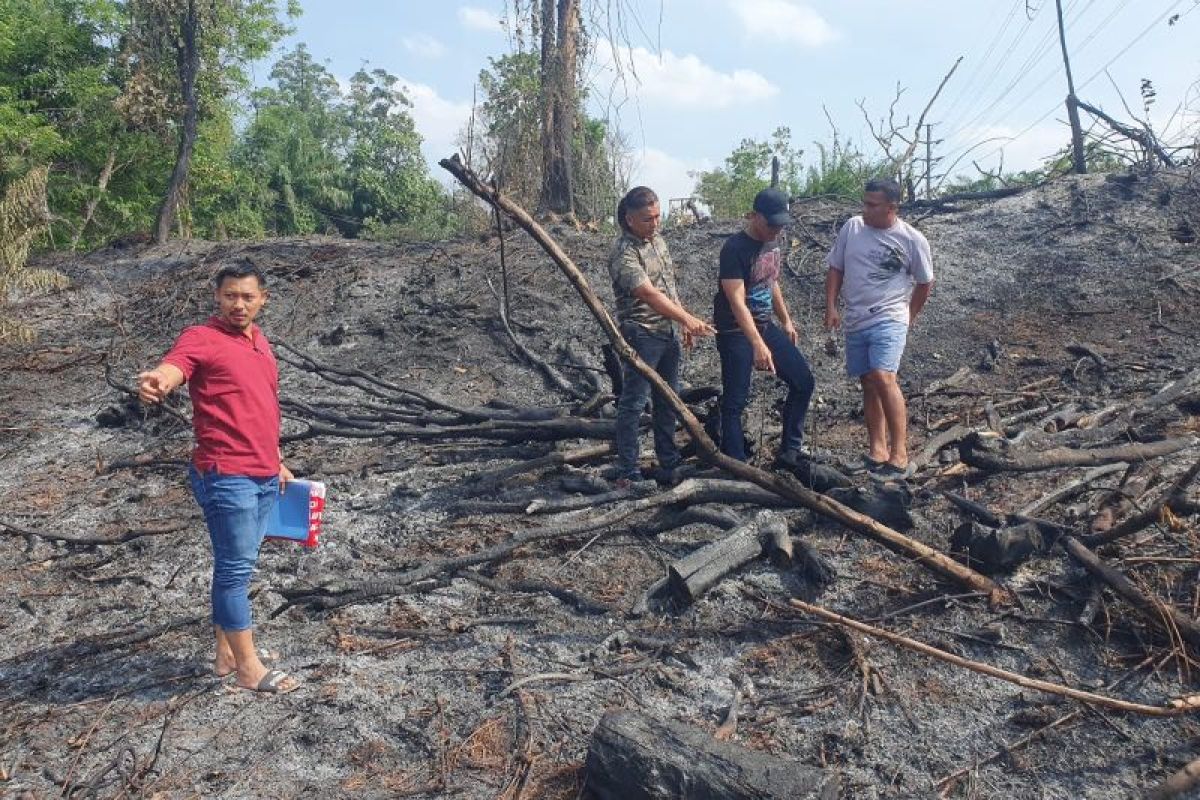 Bakar lahan untuk tanam sayur, pria di Pekanbaru dibui