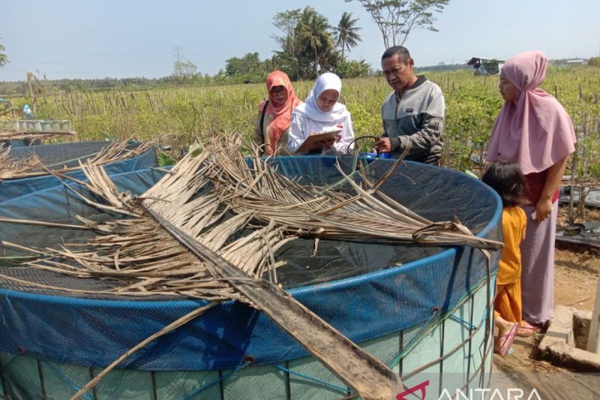 Kulon Progo kembangkan perikanan berbasis ekonomi biru