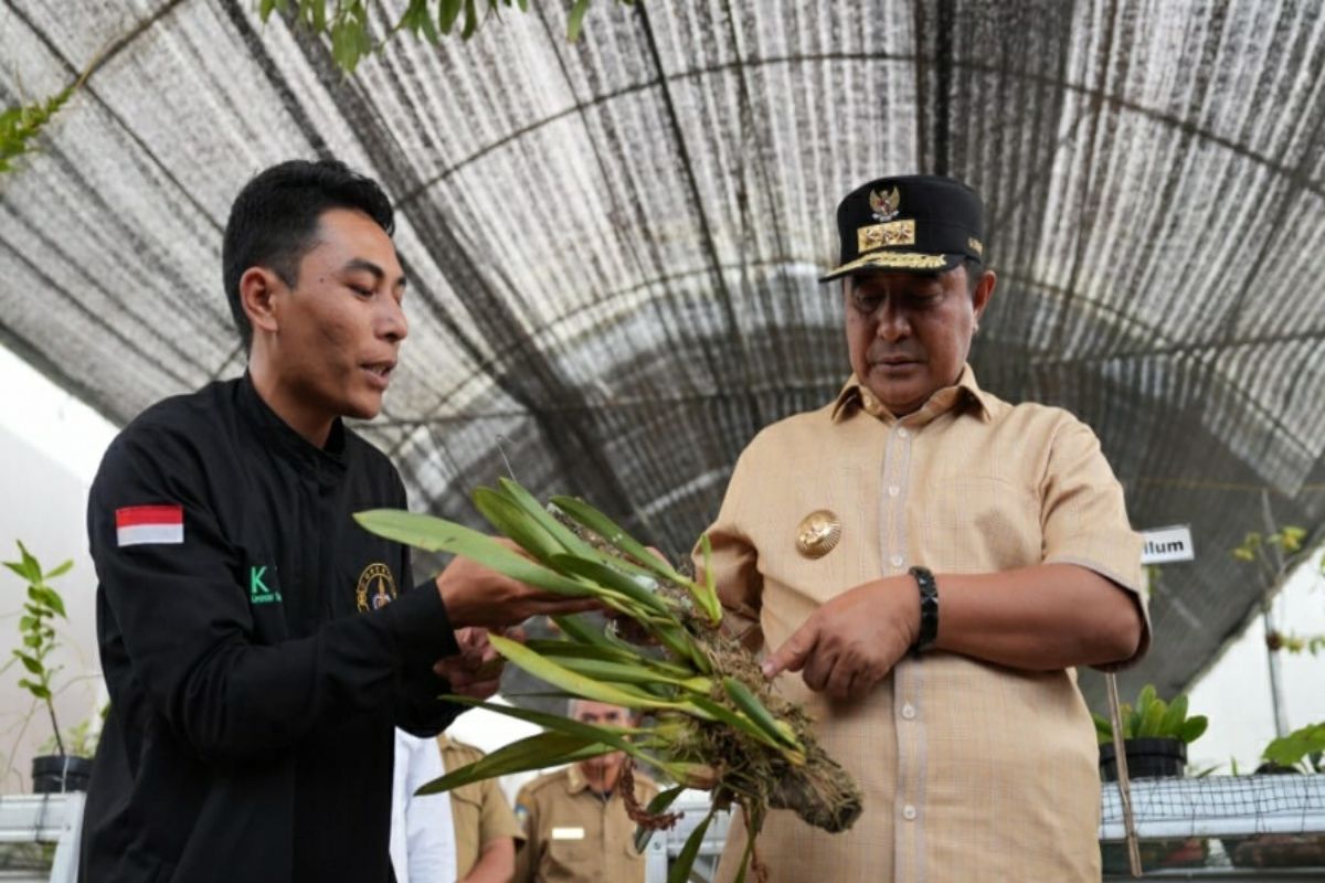 Akademisi IPB dukung Pemprov Sulbar jadikan Mamasa produsen anggrek nasional