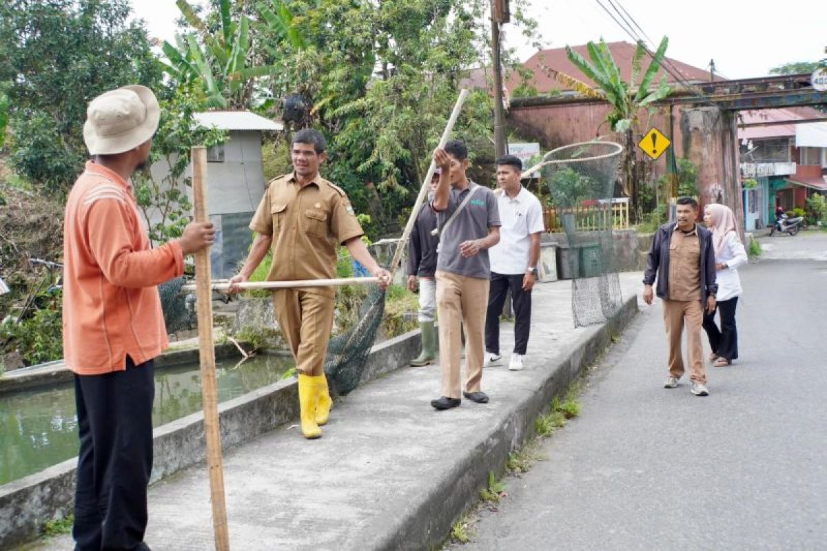 Pemkab Padang Panjang ragukan anjing liar yang ditangkap warga Ikua Lubuak