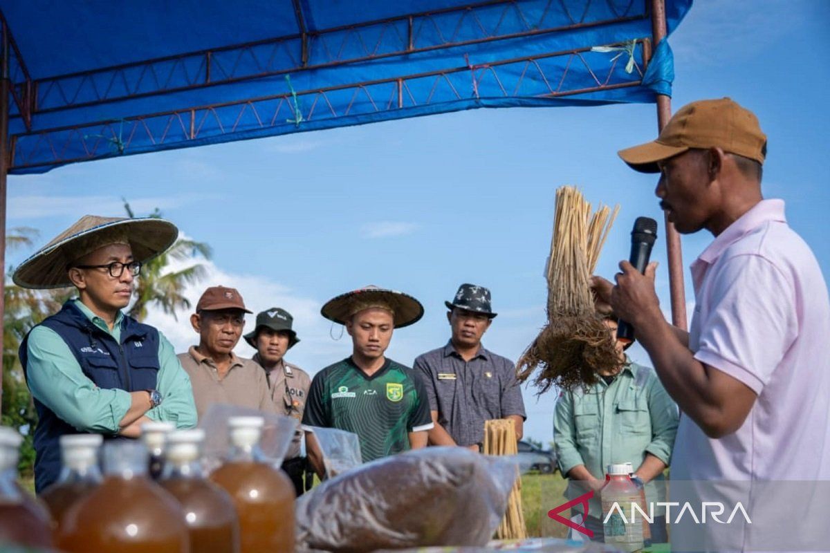 Petani binaaan PT Vale di Kolaka berhasil berkah "SRI Organik"