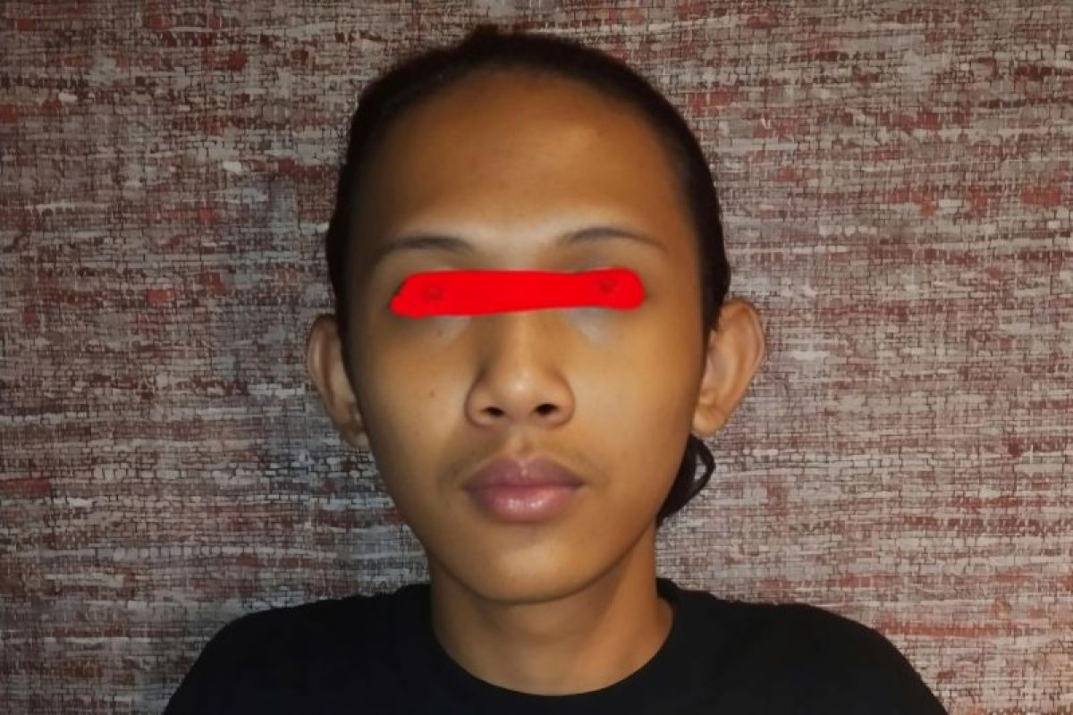 Penjual video porno lewat kanal Telegram berhasil ditangkap