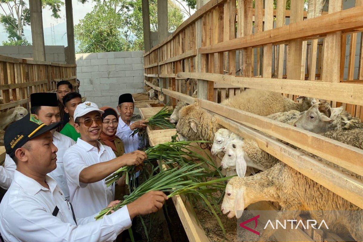 Baznas  luncurkan program pemberdayaan ekonomi mustahik