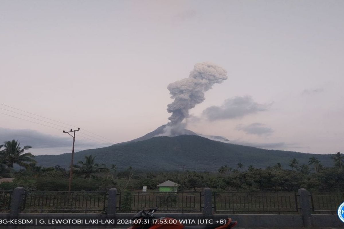 Badan Geologi imbau warga tak masuki radius bahaya Gunung Lewotobi