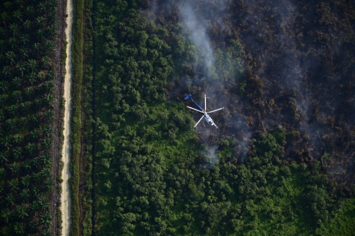 Helikopter Lanud Roesmin Nurjadin pantau karhutla dari udara