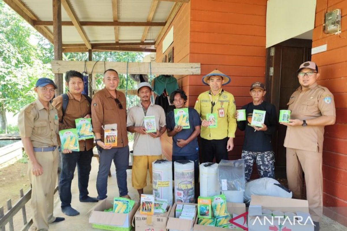 Pemprov Kaltara galakkan  Pertanian Keluarga untuk ketahanan pangan