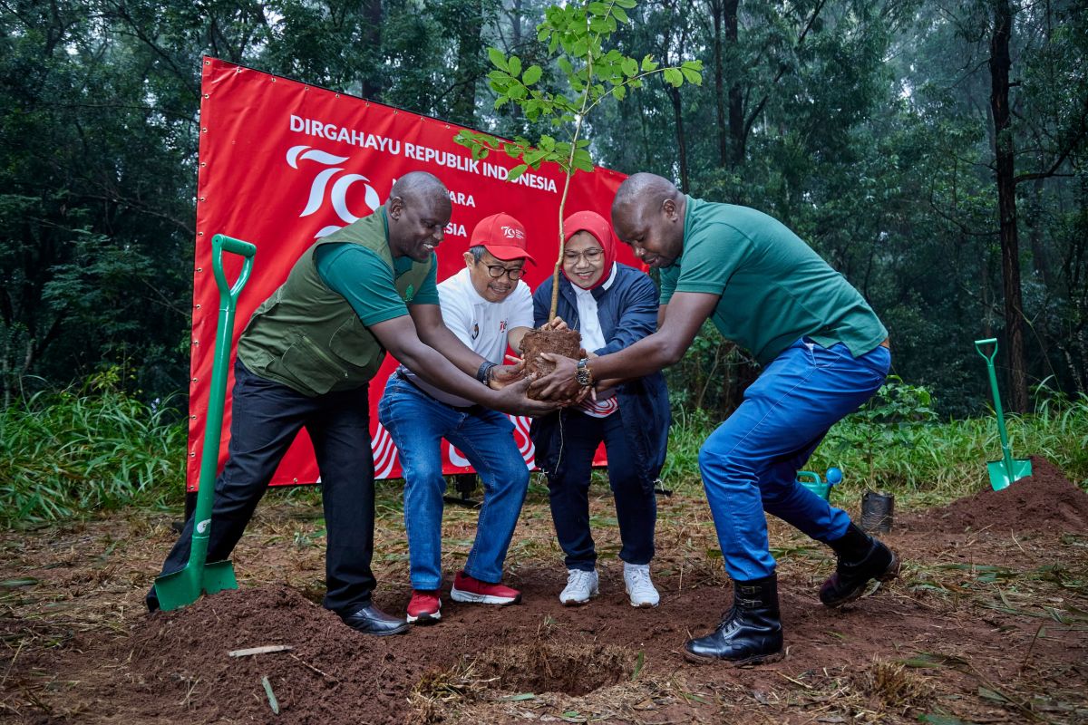 KBRI Nairobi tanam pohon di Hutan Karura