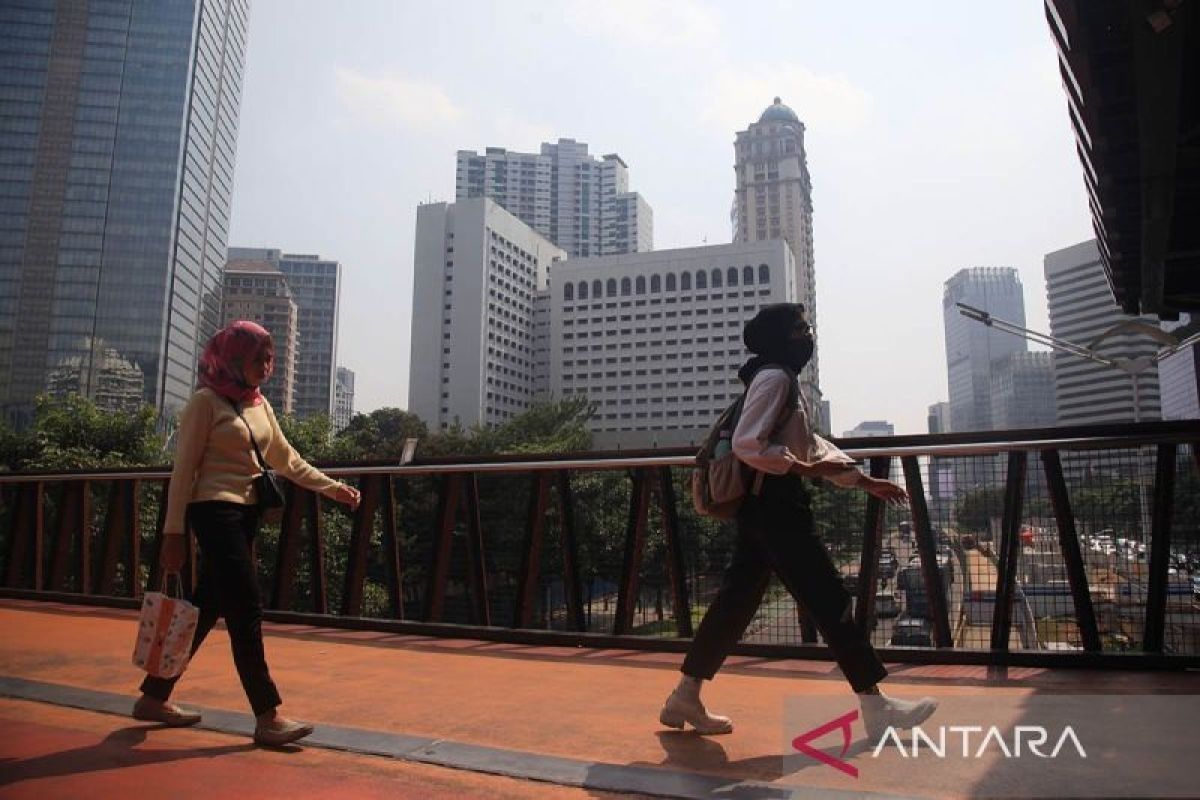 Dokter ingatkan paparan polusi udara bisa sebabkan penyakit kanker paru