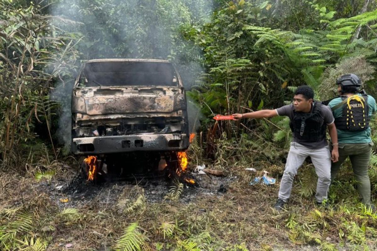 Kembali berulah, KKB bakar satu truk dan bunuh sopir di Dekai