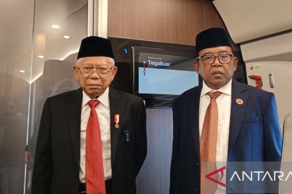 Ma'ruf Amin ingatkan ormas yang kelola tambang agar patuhi aturan