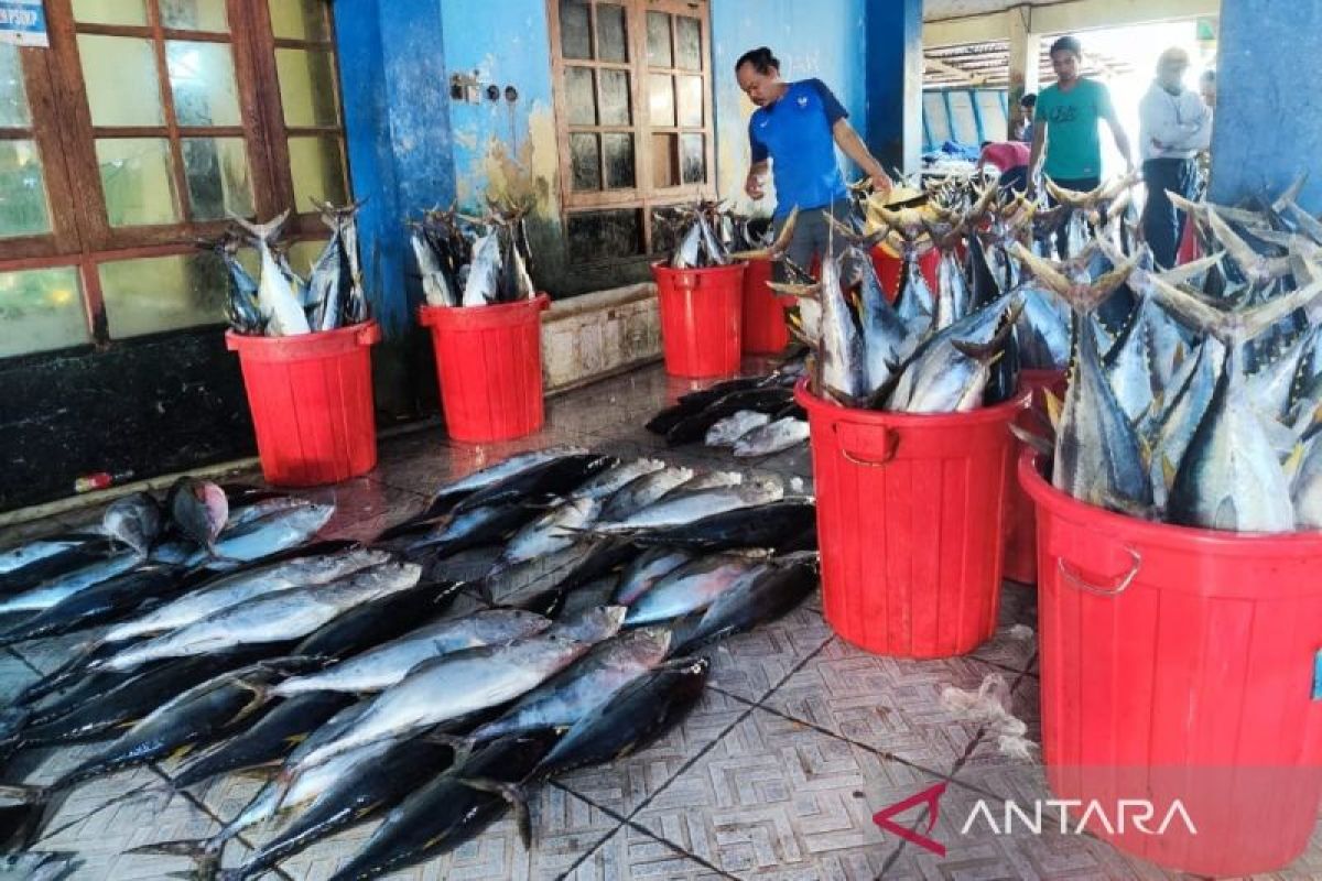 BPS: Ikan tuna penyumbang inflasi Provinsi Papua pada Juli 2024