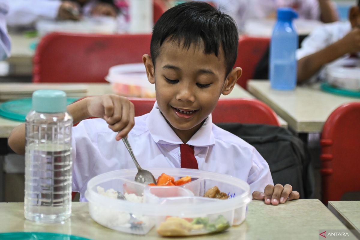 Opsi bahan makanan lokal untuk siapkan bekal bergizi