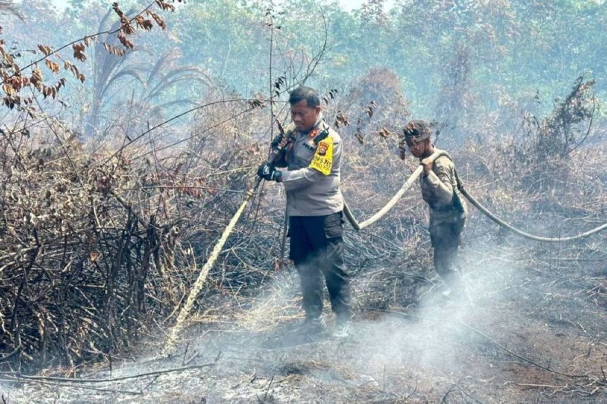 8 daerah di Riau siaga darurat karhutla