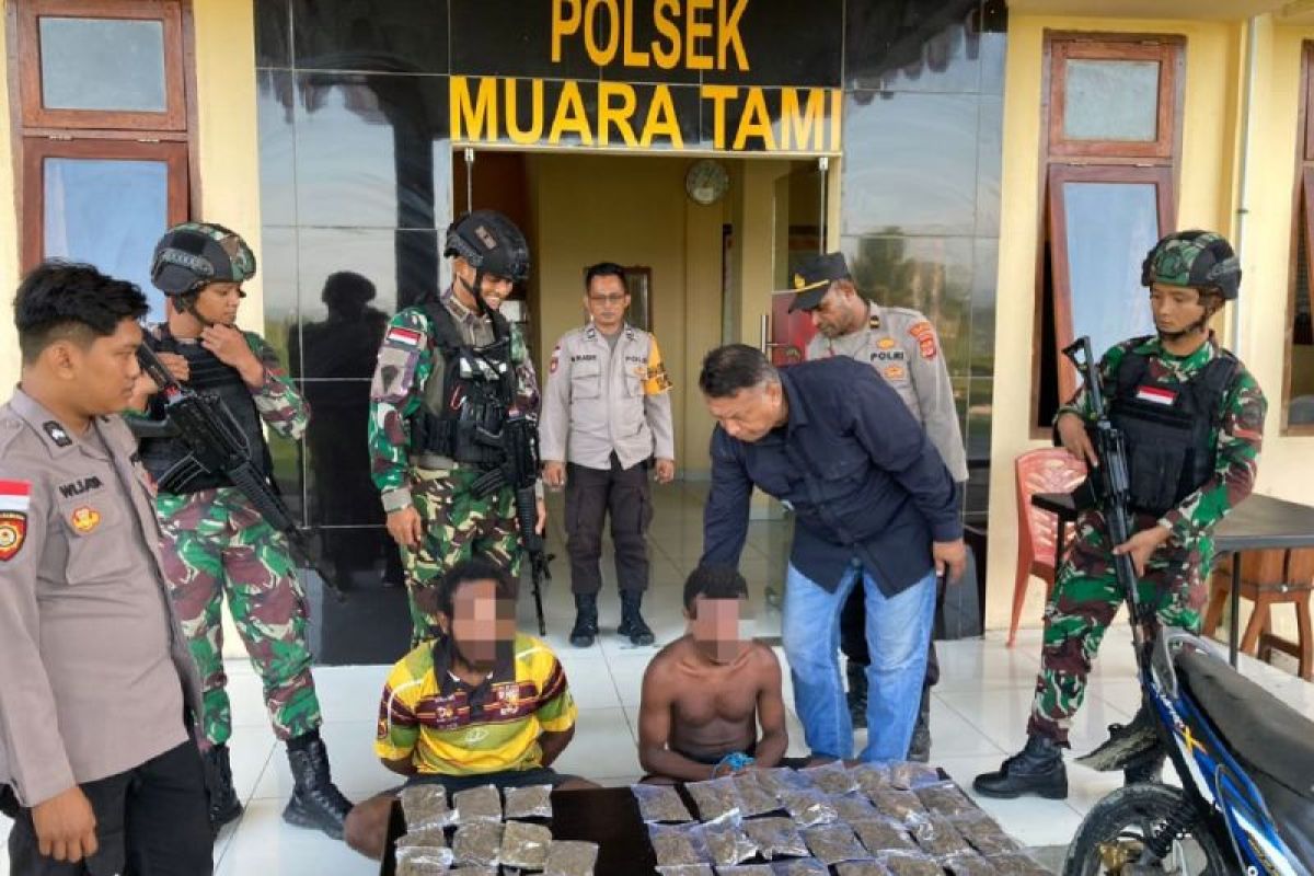 Aparat TNI/Polri tangkap pemilik 35 paket ganja di Kampung Mosso Kota Jayapura