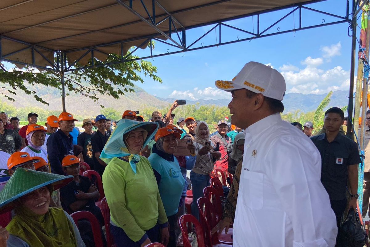 Menteri: Nasi jagung dapat dijadikan pilihan menu makan siang gratis bergizi di tanah air