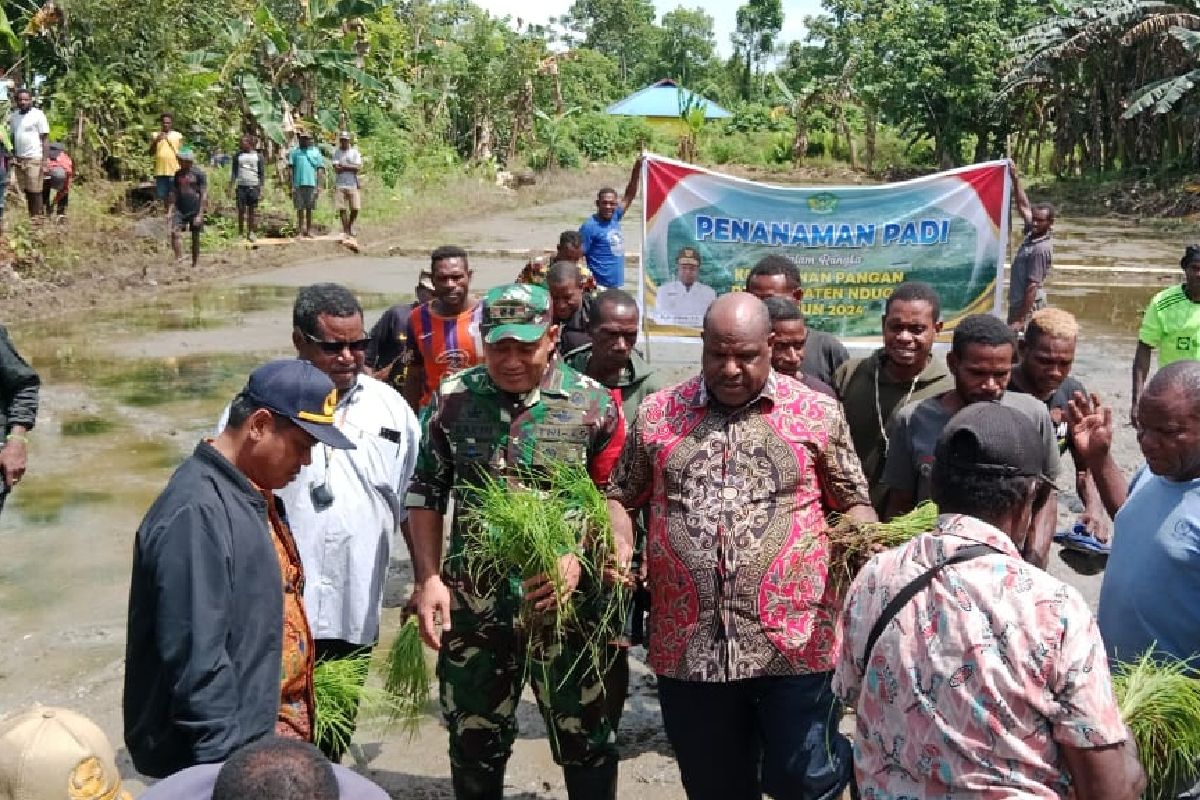 Pemkab Nduga ajak warga buka lahan tidur tanam komoditas pangan