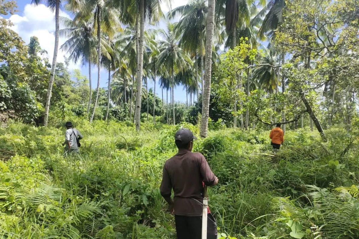 Tim SAR gabungan lanjutkan pencarian hari ke-7 lansia yang hilang di Muna