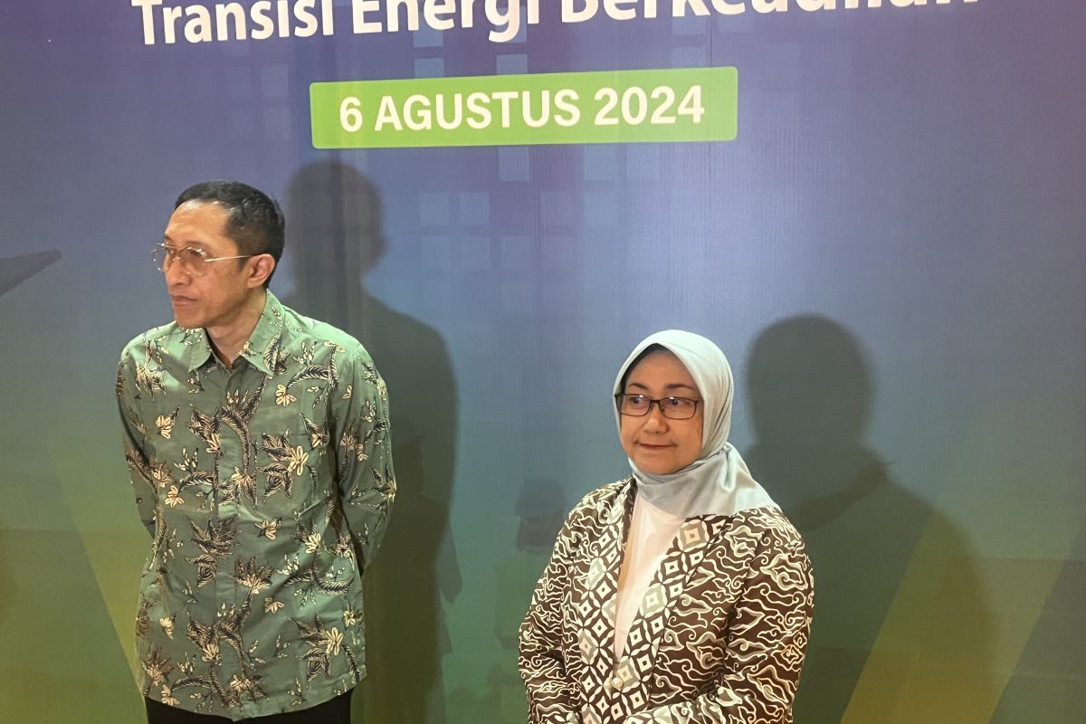 Transisi energi dinilai bagian penting capai SDGs