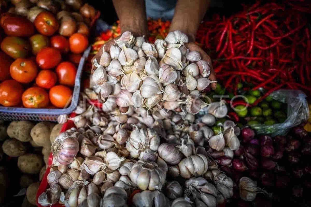 Harga pangan selasa naik: Bawang putih Rp40.580 per kg