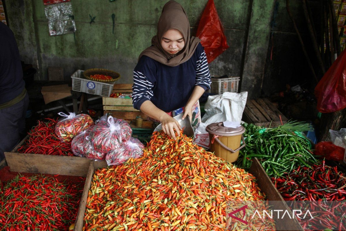 BI perkuat kebijakan dan sinergi jaga inflasi 2024-2025