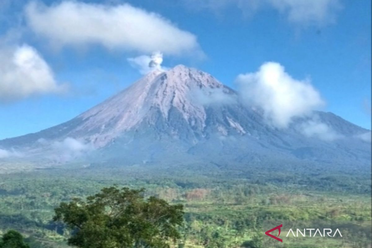 Gunung Semeru erupsi, penduduk diminta waspada