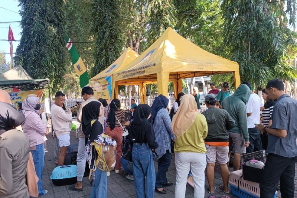 Distan Mataram buka layanan vaksin gratis untuk hewan kesayangan