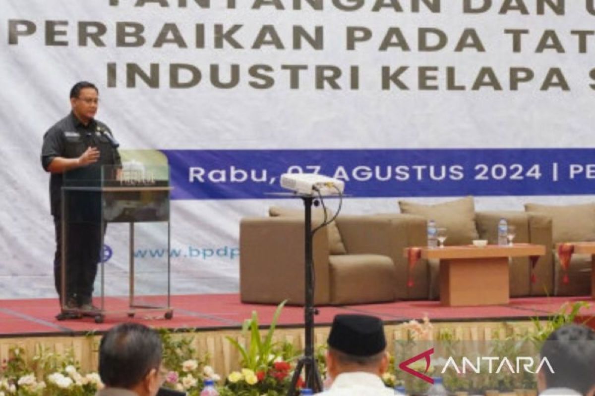 Ombudsman RI terima 239 laporan terkait isu kelapa sawit