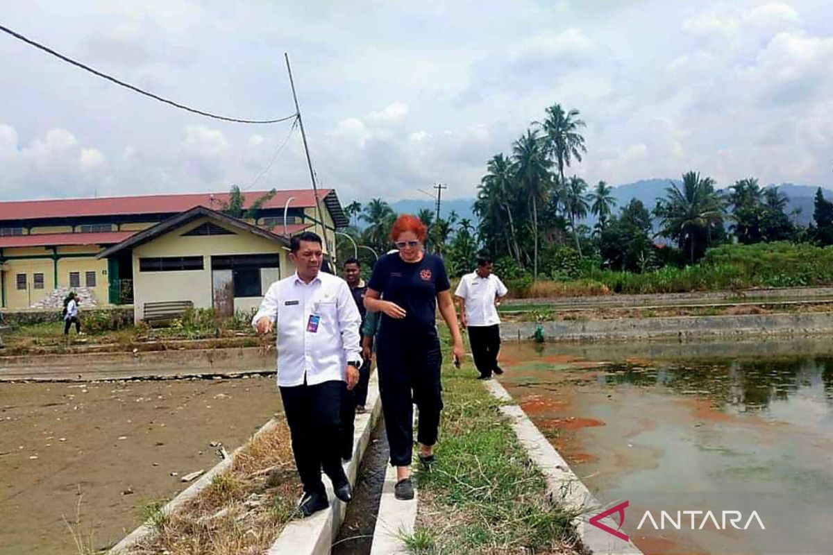 Bantu produksi petani, Ikan Nila unggul Monosek Til-Aqua segera hadir di Pasaman