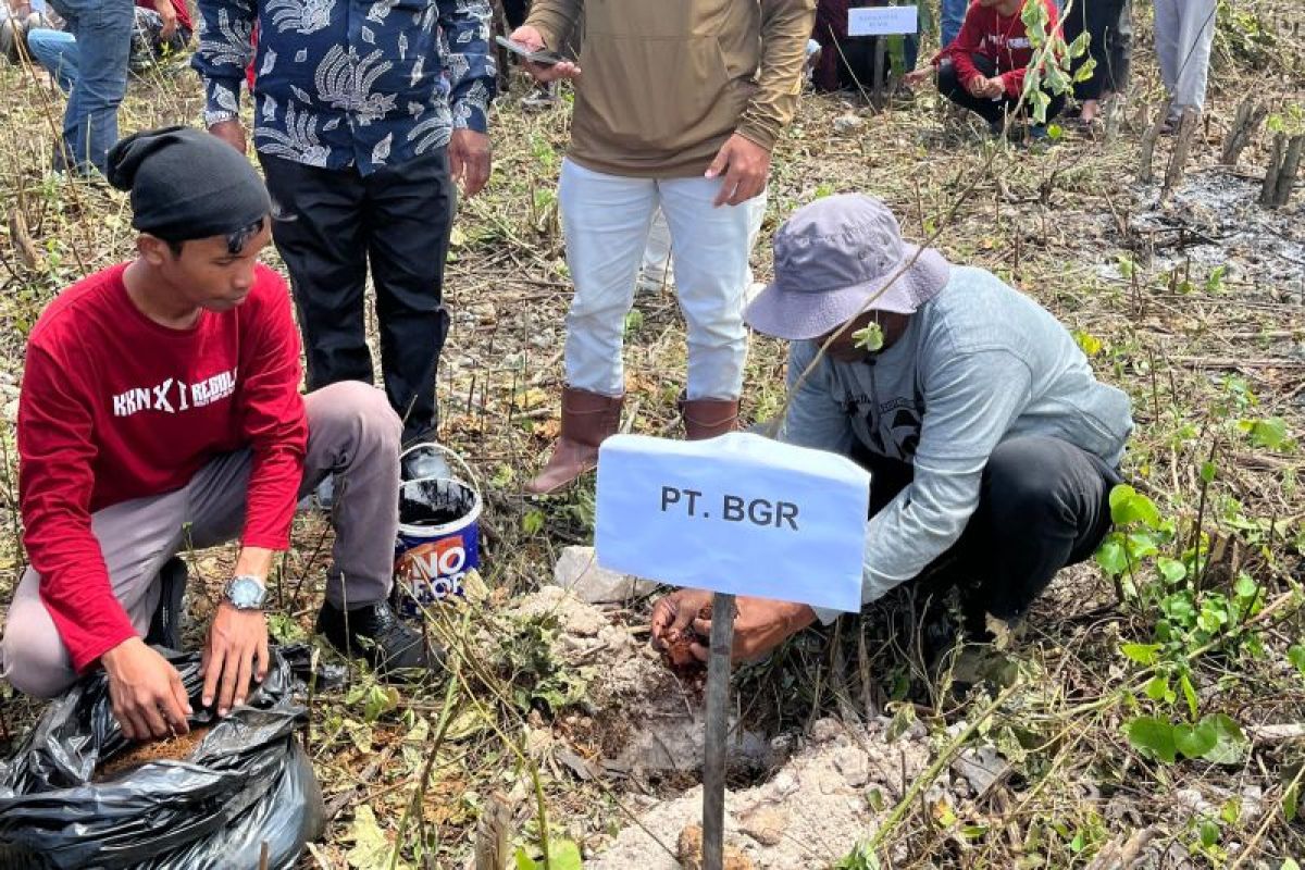 PT BGR tanam ratusan pohon peringati HKAN