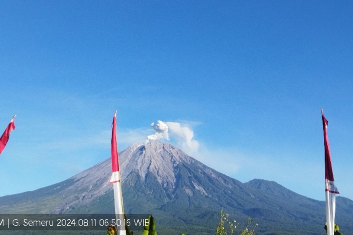 Gunung Semeru kembali erupsi dengan letusan setinggi 600 meter