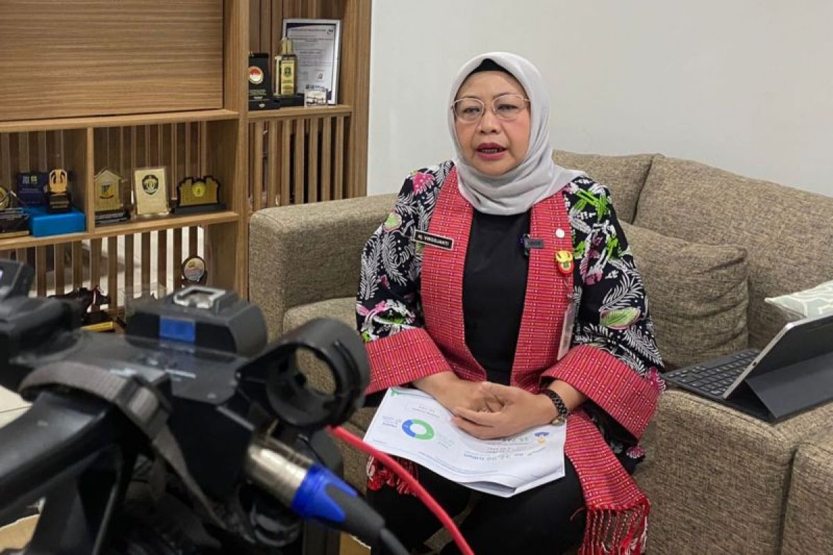 Kepala Dinas Penanaman Modal dan Pelayanan Terpadu Satu Pintu (DPMPTSP) Virgojanti. ANTARA/HO-DPMPTSP
