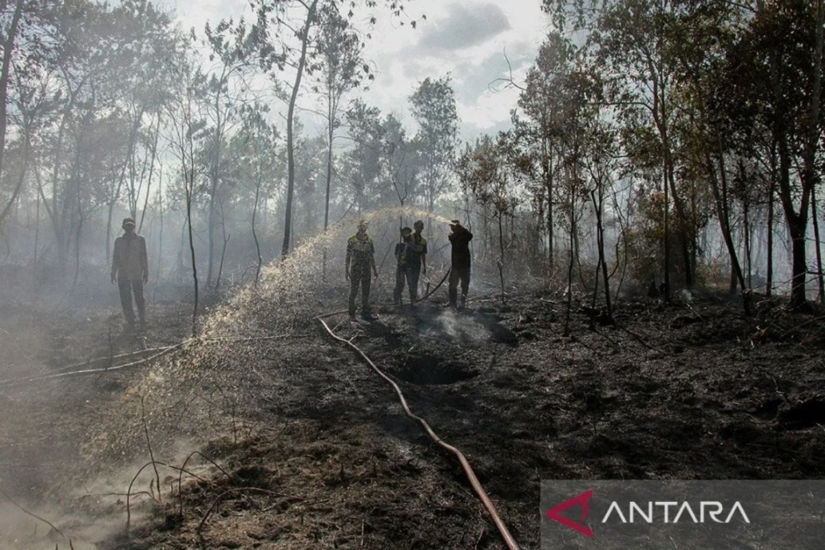 Operasi karhutla di enam provinsi berlaku aktif sampai November