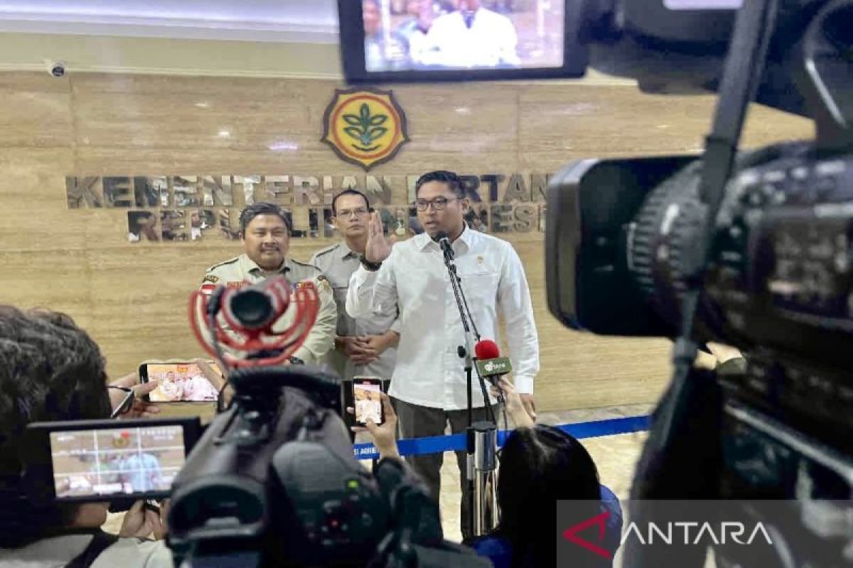 Wamentan minta petani sawit beli bibit unggul