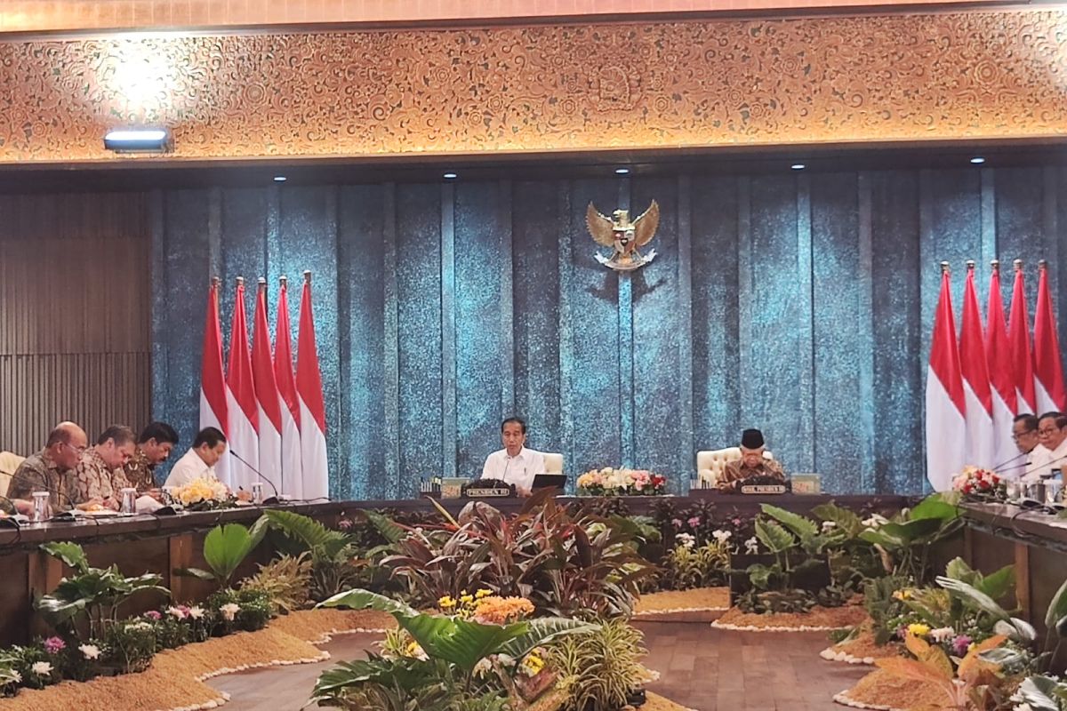 Presiden Jokowi ungkap investasi sudah masuk IKN Rp56,2 triliun di sidang kabinet