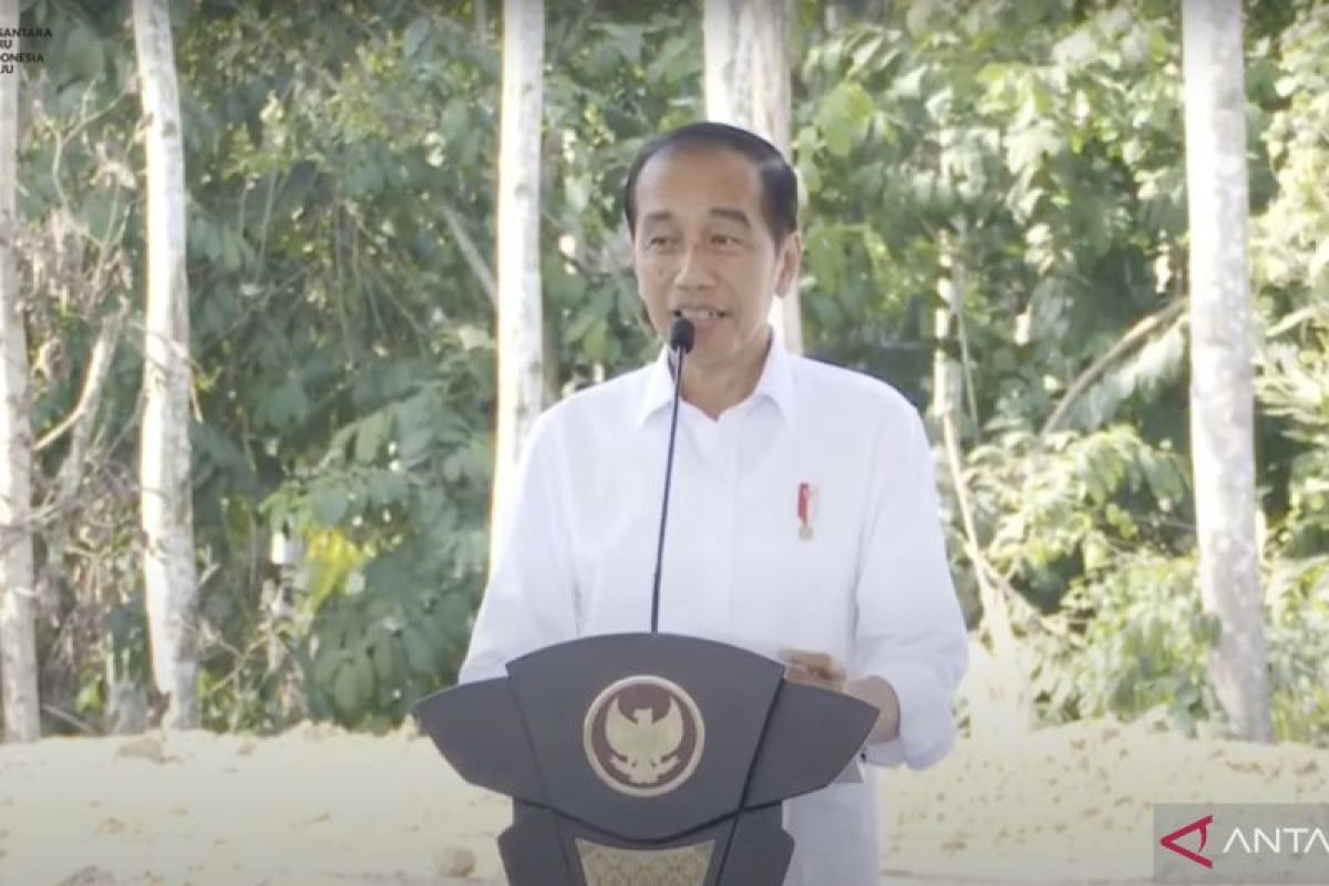 Presiden akui potong jumlah undangan HUT RI di IKN