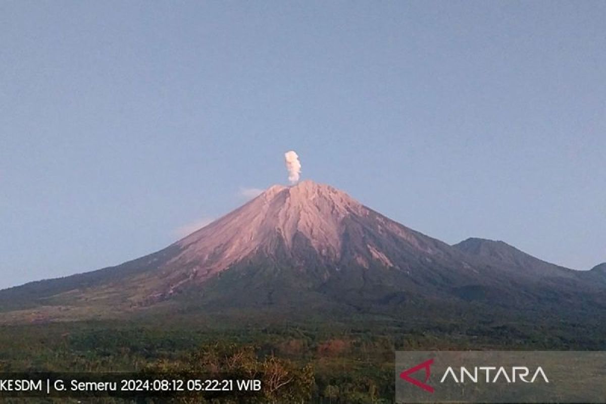 Gunung Semeru kembali erupsi lontarkan abu vulkanik setinggi 800 meter